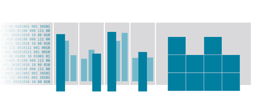 From raw records to bar charts to space-filling pixels — the cover of the dissertation.