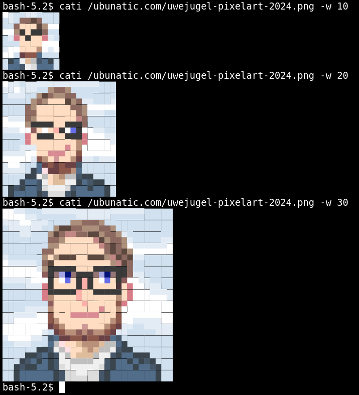 Terminal screenshot of cati rendering a pixel-art portrait at three widths inside a Plesk chroot SSH session