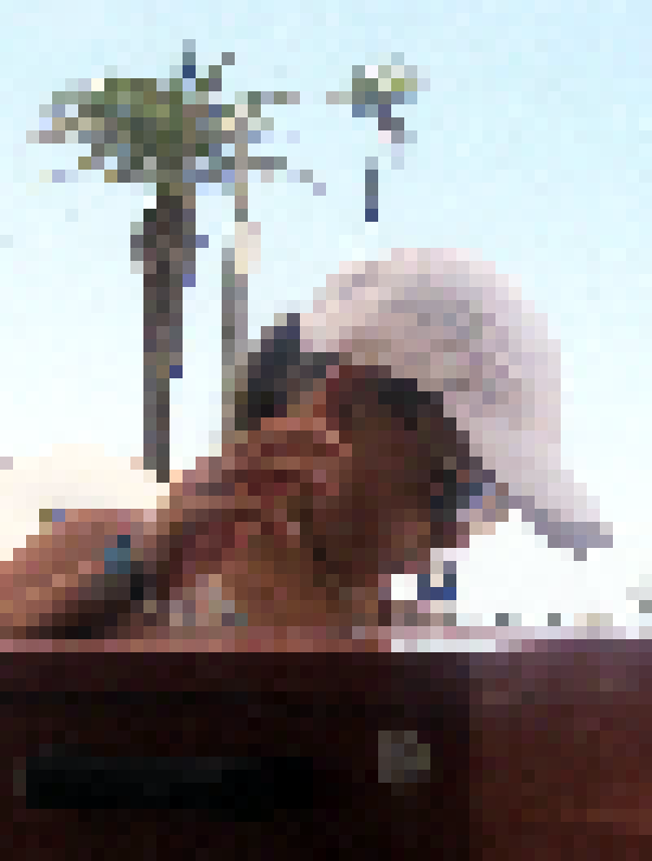 Half-block render of summer vacation sample at 50ch